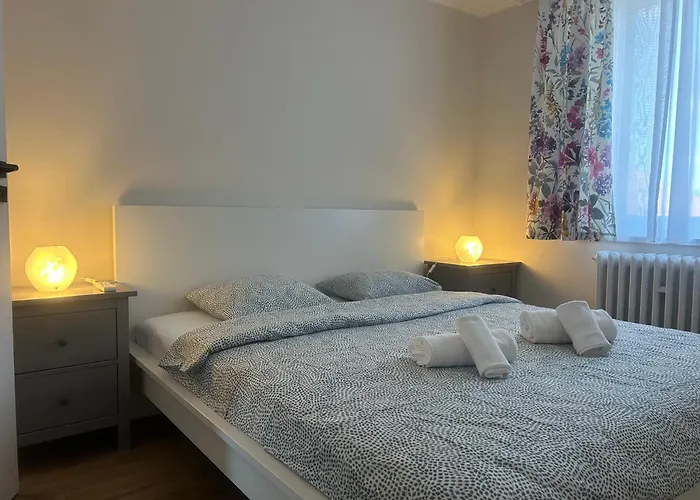 Hermann Central Apartment